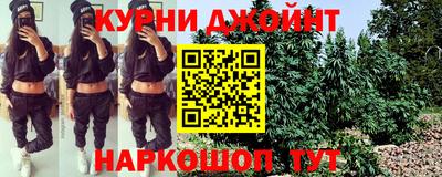 прущие грибы Волгодонск