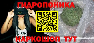 бошки Будённовск