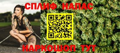 прущие грибы Волгодонск