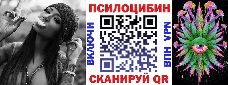 сколько стоит  Грязи  Псилоцибиновые грибы мицелий 