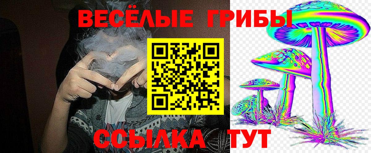 Грязи  Псилоцибиновые грибы мицелий  Галлюциногенные грибы Psilocybine cubensis  Вход с VPN 