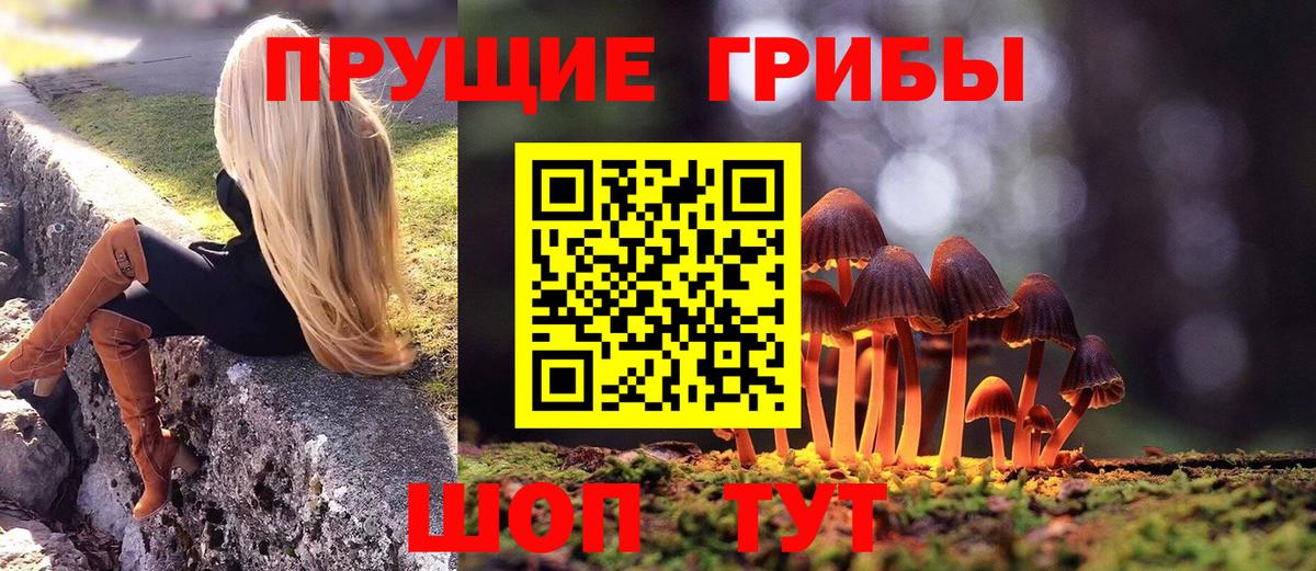 Псилоцибиновые грибы Magic Shrooms  купить наркоту  Галлюциногенные грибы мицелий  Грязи 